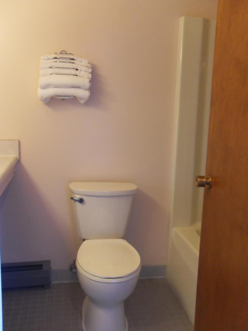 Swan Inn Motel Comstock Park Bagian luar foto